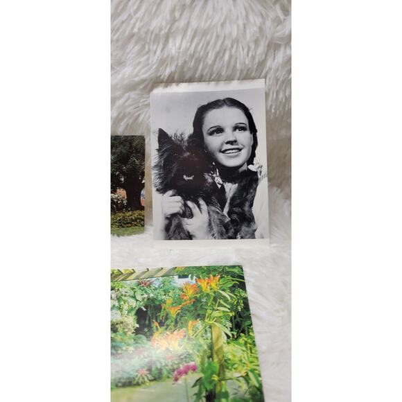 Lot of 6 Vintage Movie Star, Botanical, The Beatles Unused Postcards - Picture 1 of 11